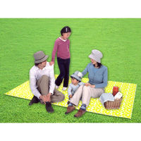 クッションレジャーシート クローバー柄 L 4901983724616 3個 東和産業（直送品）