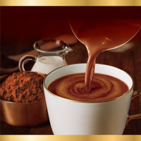 アサヒ飲料 バンホーテンココア 185g 1箱（30缶入）