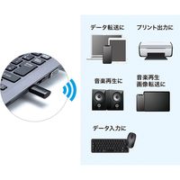 サンワサプライ Bluetooth 4.0 USB Type-Cアダプタ(class1) MM-BTUD45 1個（直送品）