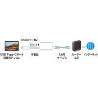 サンワサプライ USB3.1 TypeC-LAN変換アダプタ（USBハブポート付・ホワイト） USB-CVLAN4W 1個（直送品）