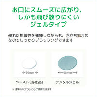 歯磨き粉 ガム 歯周プロケア 電動ハブラシ用 ハミガキ デンタルジェル 65g 1セット（2個）サンスター 殺菌 歯周病 虫歯 フッ素