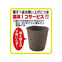 アーテック 野菜の種 オクラ 2739 1箱 61-6011-05（直送品）