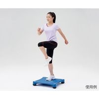 淡野製作所 クッションステップ台 D5492 1台 7-5405-01（直送品）