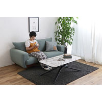 【軒先渡し】東馬 マーブ 昇降テーブル 幅1100×奥行600×高さ360～740mm ホワイト 54670590 1台（直送品）