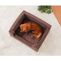 グループストア 高反発ペットベッドMサイズ 92216（直送品）