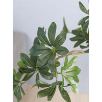 人工観葉植物　ワインドシェフレア　77cm　GLA-1474　横浜ディスプレイミュージアム（直送品）