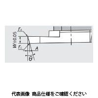 日本特殊陶業 TAチップ CTPA20FRV VM1 CTPA20FRVVM1 1セット(10個)（直送品）
