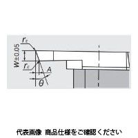 日本特殊陶業 TAチップ CTPA20FLKV VM1 CTPA20FLKVVM1 1セット(10個)（直送品）