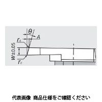 日本特殊陶業 TAチップ CTPA20FLV VM1 CTPA20FLVVM1 1セット(10個)（直送品）