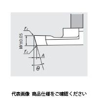 日本特殊陶業 TAチップ CTPX20FR ZM3 CTPX20FRZM3 1セット(10個)（直送品）