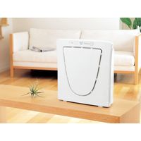 ツインバード 空気清浄機 ファンディファイン ヘパ AC-4238W 1台