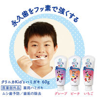 歯磨き粉 子供用 クリニカKids ハミガキ ジューシーグレープ 60g 虫歯予防 1本 ライオン
