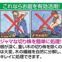 Cadie Products Corporation スタンプ・アウト2個組 53354（直送品）