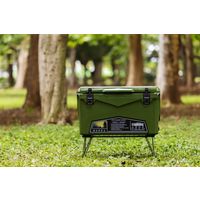 ICELAND COOLER アイスランドクーラー ハードクーラーボックス 45QT Army Green CL04504（直送品）