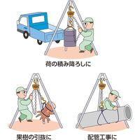チェーンホイスト OCH-025 オーエッチ工業（直送品）