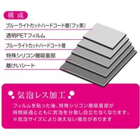 ナカバヤシ iPadAir2019用ブルーライトカット液晶保護フィルム TBF-IPA19FLKBC（直送品）
