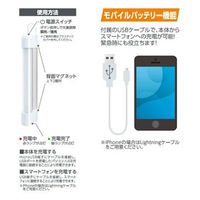 渋谷 充電式LED作業灯 ロング KM-7660 1個