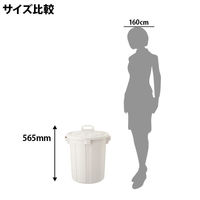 リス 抗菌丸ペール 45L オフホワイト 1台 幅460×奥行460×高さ565mm 日本製 スクリュー式フタ付き ゴミ箱 撥水加工 SIAA取得