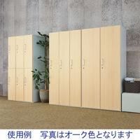 スマイル 木扉スチールロッカー 2連2人用（ワイド） シリンダー錠 ダーク 幅900×奥行515×高さ1790mm 1台（3梱包）組立式