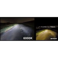 ピア（PIAA） 純正交換HIDバルブ 【6000K】 D4U （D4R/D4S共用） 12V HL602 1セット（2個入）（直送品）