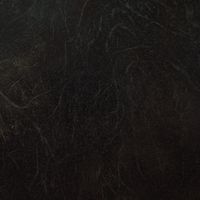 信栄物産 エクステリアミラー ブラックミューズ EX-BM（直送品）