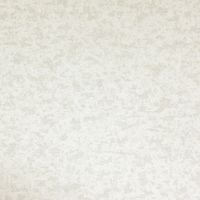 信栄物産 エクステリアミラー シルキーフロスト EX-WA 1枚