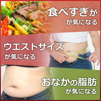 大正製薬 ファットケアスティックカフェ モカ・ブレンド 30袋 1個