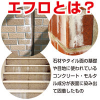 カンペハピオ 復活洗浄剤 エフロ用 1L #00017660061010 1個