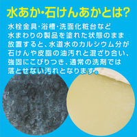 カンペハピオ 復活洗浄剤 トイレ陶器クリーナー 100ML #00017660132100 1個