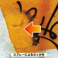 カンペハピオ らくがき落としクリーナー 250ML #00027660202250 1個