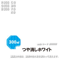 水性シリコンカラースプレー つや消しホワイト 300ML #00507654082300 カンペハピオ（直送品）