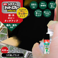 カンペハピオ シリコンラッカSP つや消ブラック 420ML 587644092420 1本
