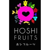 ホシフルーツ 果実とショコラ HFKC-22（直送品）