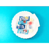 スマチャ！ 塩キャンディー4種アソート 1袋（ 500g）鈴木栄光堂 塩飴