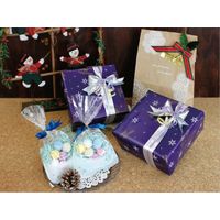 ベルベ クリアバッグ トゥインクルスノー M 4798 500枚（50×10）（直送品）