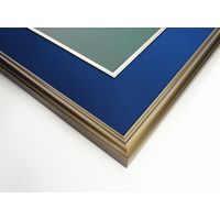 大仙 色紙額 5728 コン K580D99P0 1枚