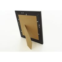 大仙 色紙額 風雅 シルバー 520100201 1枚