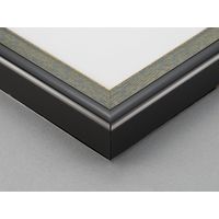 大仙 色紙額　姫色紙用　コン K442A9801 1枚