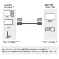 Vodaview　HDMIケーブル　HDMI[オス]-HDMI[オス]　3m　ホワイト　ECO(エコ)ケーブル　VV-HDMI030AA-WE