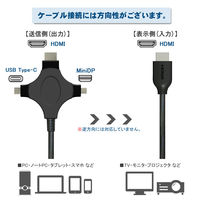 【アウトレット】Vodaview　3in1HDMIケーブル　HDMI[オス]-USB(Type-C)/miniDP　3m　VV-UCMDPHD-HD030