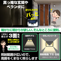 朝日電器（ELPA）　ソーラー式　LEDセンサーライト（壁掛け式） ESL-K102SL
