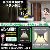 朝日電器（ELPA）　ソーラー式　LEDセンサーライト（壁掛け式） ESL-K412SL