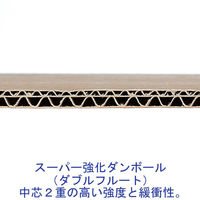【200サイズ】スーパー強化ダンボール　ダブルフルート247.5L　幅575×奥行535×高さ880mm 1梱包（5枚入）