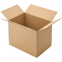 【160サイズ】現場のチカラ エコノミータイプ 軽梱包用ダンボール外寸：幅640×奥行455×高さ495mm 1梱包（20枚入） オリジナル