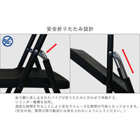 SANKEI GARDE STUDIO 折りたたみイス エールN ブラック NT-FC-22061(ヌード) 1脚（直送品）