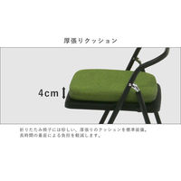 SANKEI GARDE STUDIO 折りたたみイス エールC 座厚張りクッション付 NT-FC-22062(座付き) 1箱(2入)（直送品）