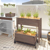 タカショー ベジテラストロリープランター キャスター付 ブラウン WSP-06B 1台