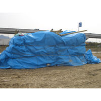 萩原工業 ターピー エコフレンドシート #3000　実寸法　約1.78×3.52ｍ　約4帖 42126　1枚（直送品）