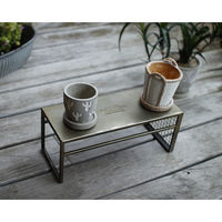 スパイス GESHMACK ディスプレイ台 Lサイズ GFA225L 1個（直送品）