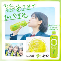 伊藤園 おーいお茶 緑茶 まろやか 460ml 1箱（30本入）